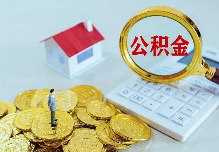 定安公积金封存十年怎么提（公积金封存十年提取）